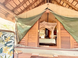 Kruger National Park South Accommodation at  | Viya