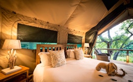 Kruger To Canyons Accommodation at  | Viya