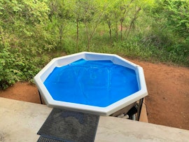 Kruger To Canyons Accommodation at African Olive | Viya