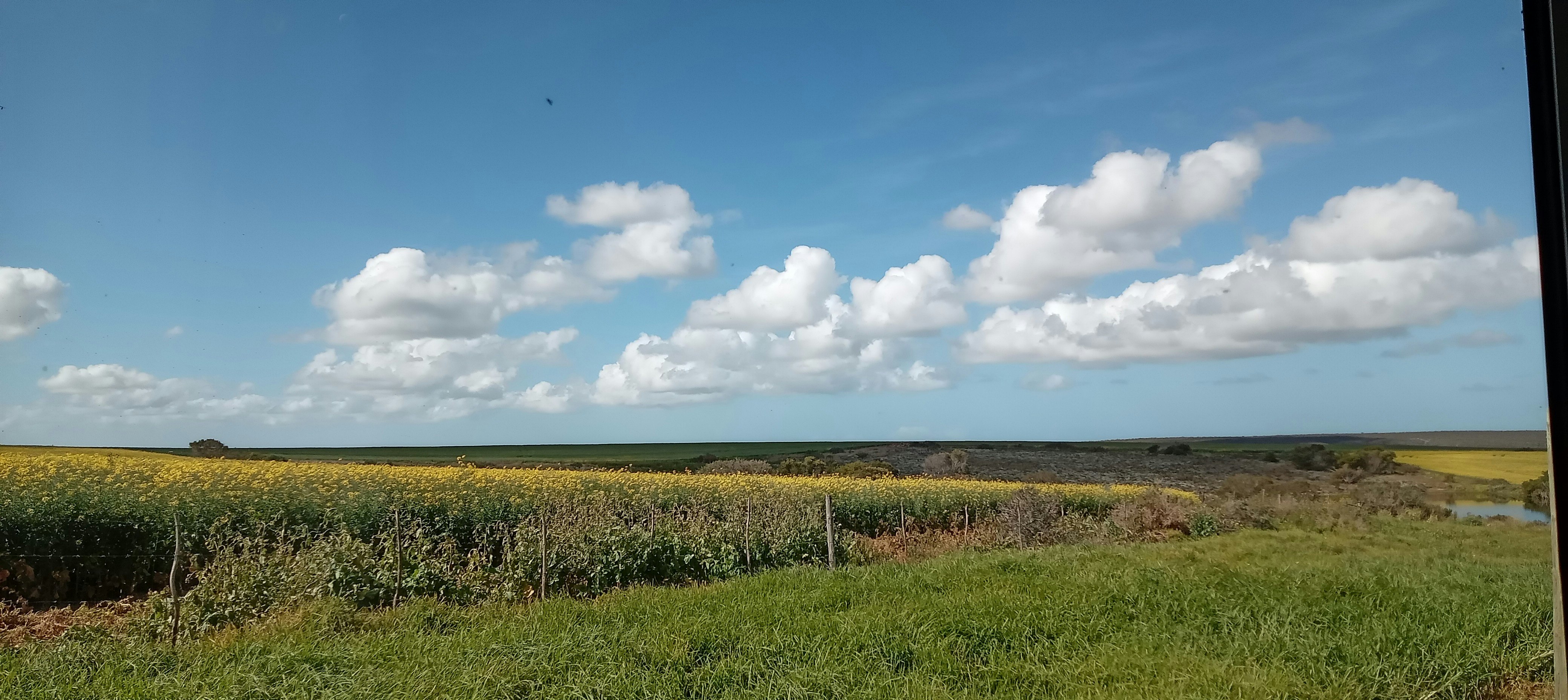 Ou Werf image no 56 of 64