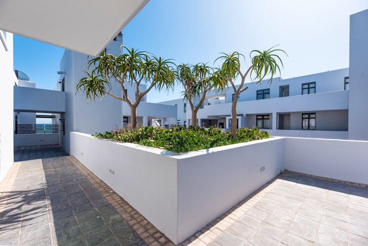 Cape Town Accommodation at 191 Eden on the Bay | Viya