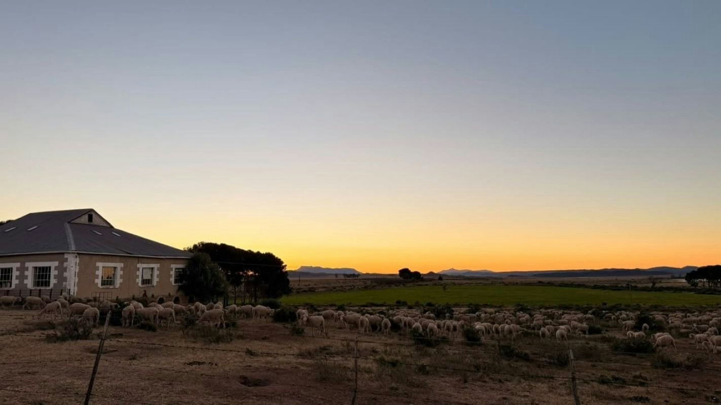 Bergenheim Estate Molteno image no 3 of 17