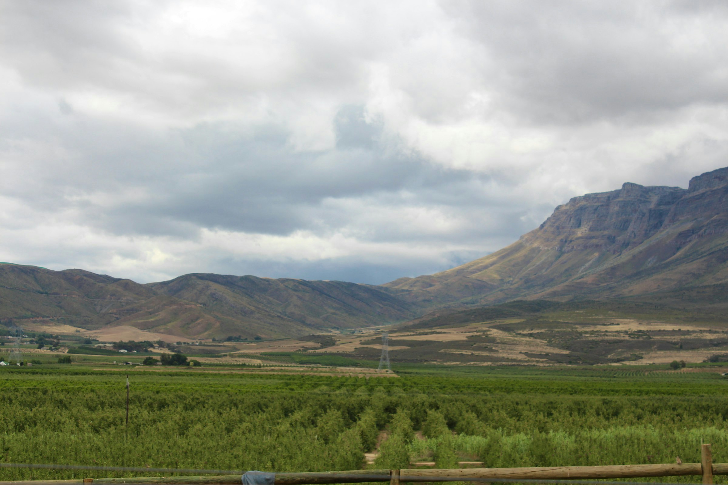 Prince Alfred Hamlet