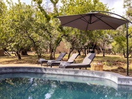 Dinokeng Game Reserve Accommodation at Amy's Camp at the Kevin Richardson Foundation | Viya