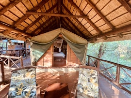 Kruger National Park South Accommodation at  | Viya