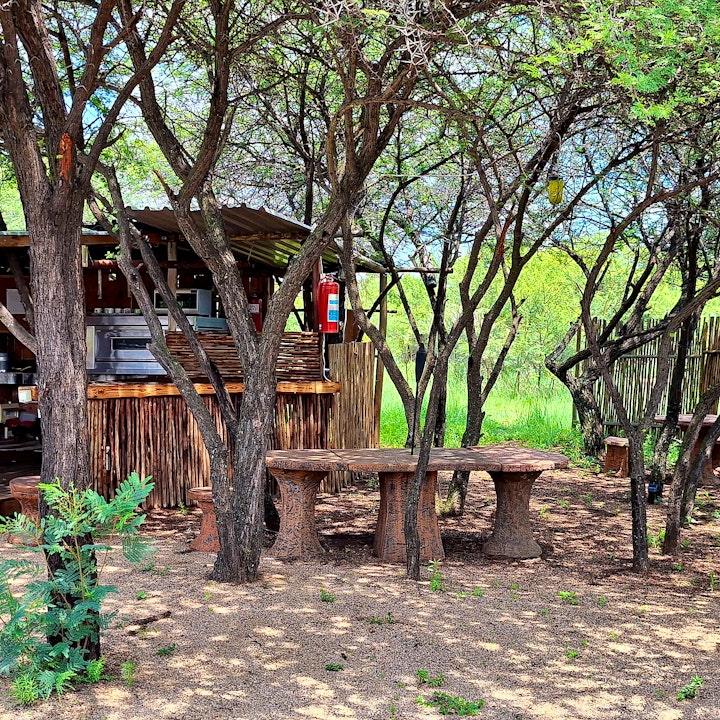 Gauteng Accommodation at Thorn Tree Bush Camp - Tented Camps and Cabins | Viya