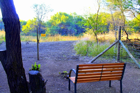 Dinokeng Game Reserve Accommodation at  | Viya