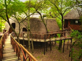 Hoedspruit Accommodation at  | Viya