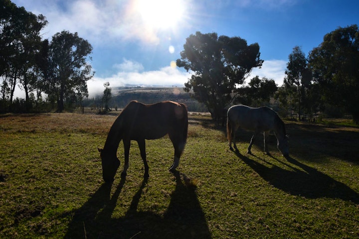 Free State Accommodation at Blackwoods Farm Cottages | Viya