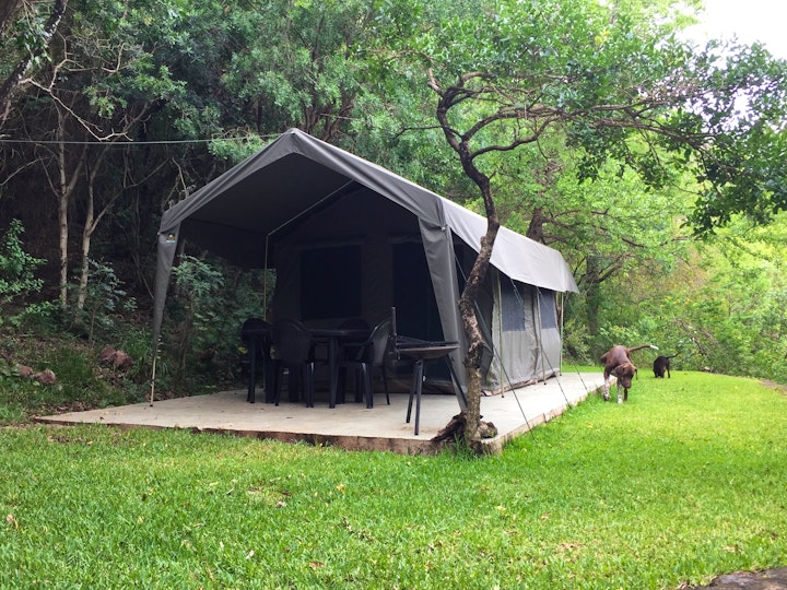 Zululand Accommodation at Cycad Rock Fishing Lodge | Viya