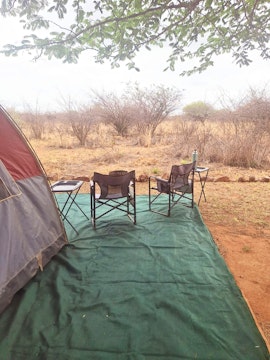 Dinokeng Game Reserve Accommodation at  | Viya