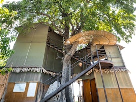 Namibia Accommodation at Jackalberry Tented Camp | Viya