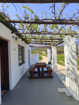 Western Cape Accommodation at The Fig Tree House | Viya