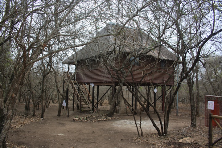 Mpumalanga Accommodation at Bushbaby Haven | Viya