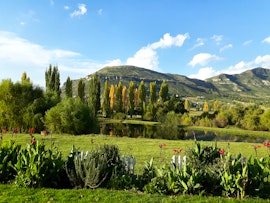 Drakensberg Accommodation at Lake Clarens Guest House | Viya