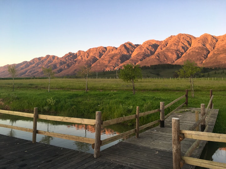 Western Cape Accommodation at Witzenberg Guest Farm | Viya