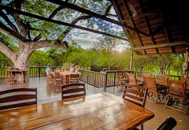 Kruger National Park South Accommodation at Needles Lodge | Viya