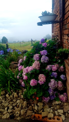 Drakensberg Accommodation at  | Viya