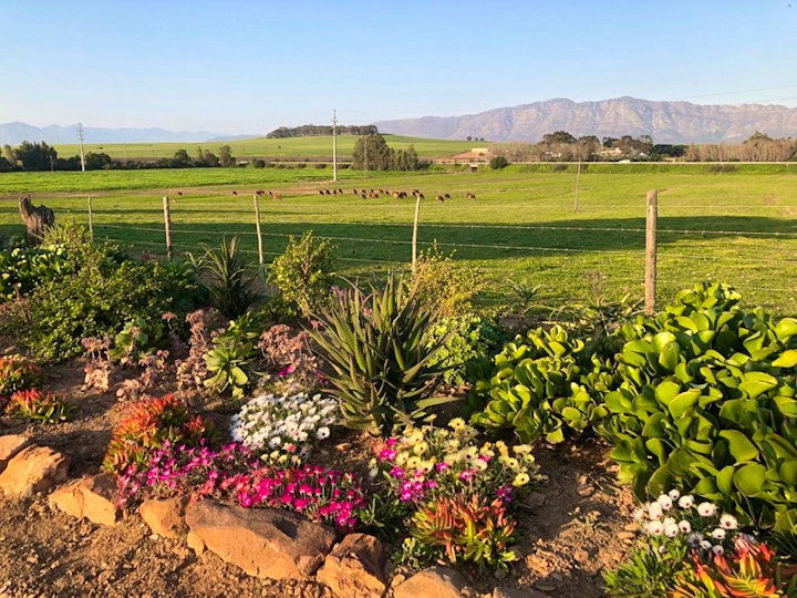 Western Cape Accommodation at Klein Eikeboom Guest Farm | Viya