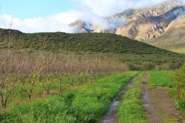 Cape Winelands Accommodation at The Barn on 62 Cottages | Viya