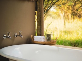 Dinokeng Game Reserve Accommodation at  | Viya