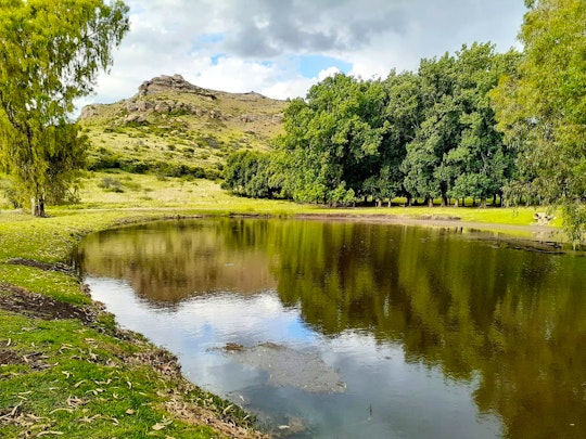 Clarens Accommodation at  | Viya