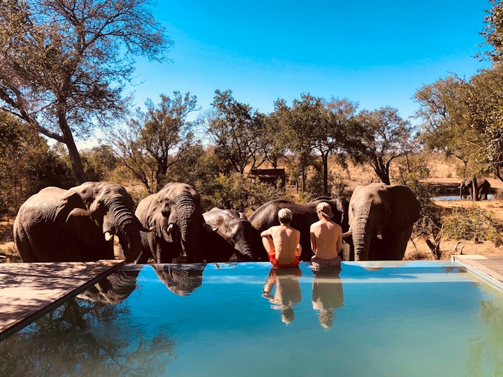 Mpumalanga Accommodation at Honeyguide Tented Safari Camp - Mantobeni | Viya