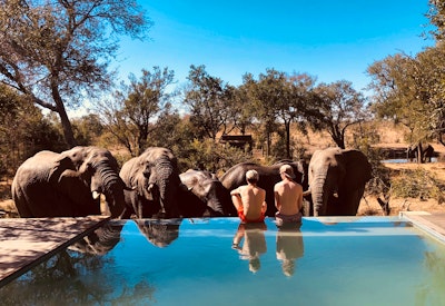  at Honeyguide Tented Safari Camp - Mantobeni | TravelGround