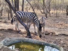 Kruger National Park South Accommodation at Raak Vir My Rustig | Viya