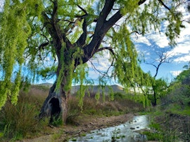 Eastern Cape Accommodation at Karoorest Farm | Viya