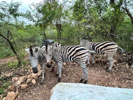 Kruger National Park South Accommodation at Sonador Bush House | Viya