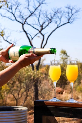 Waterberg Accommodation at Litoro Safari Lodge | Viya