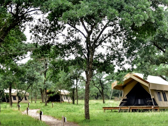 Wild Frontier Accommodation at  | Viya