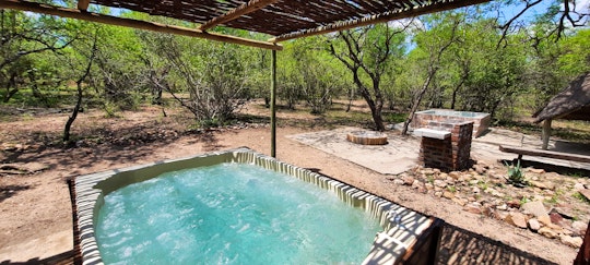 Kruger National Park South Accommodation at  | Viya