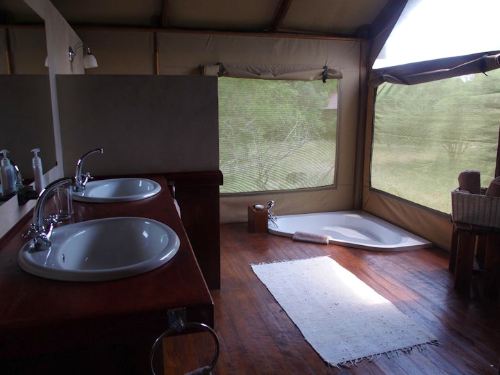 Limpopo Accommodation at Lion Tree Top Lodge | Viya