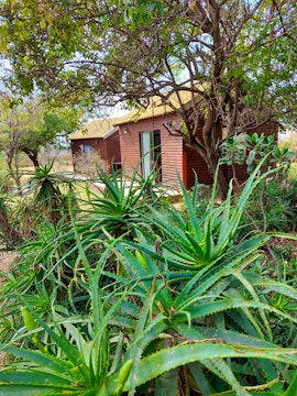 Pretoria Accommodation at Lieben Charm Guest Farm | Viya