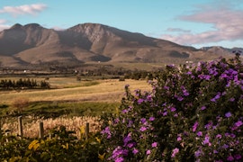 Overberg Accommodation at  | Viya