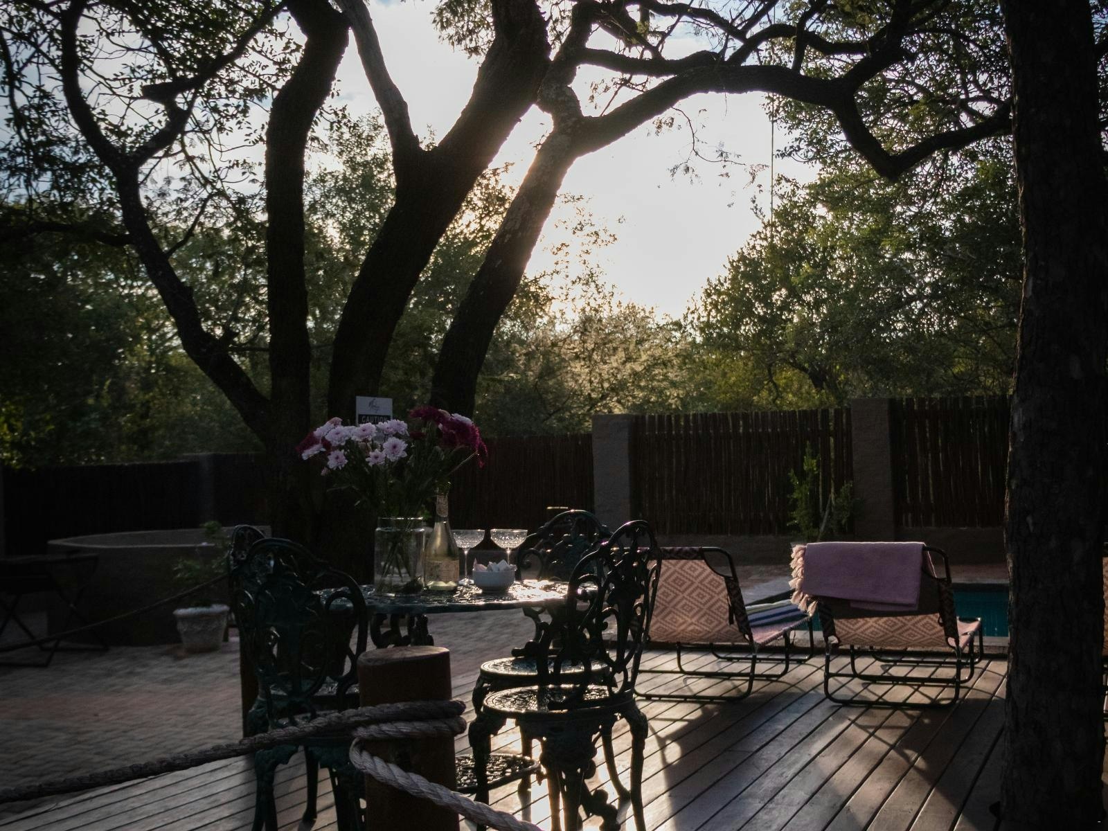 Nkanyi Wildlife House & Cottage image no 20 of 29