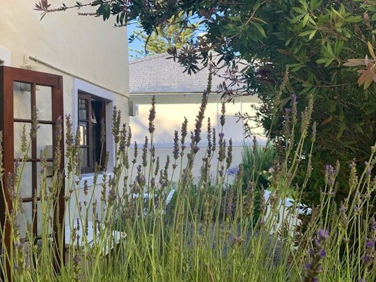 Overberg Accommodation at  | Viya