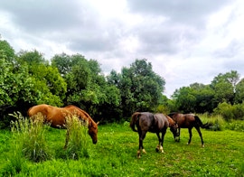 North West Accommodation at Avontuur Gastehuis en Kampterrein | Viya