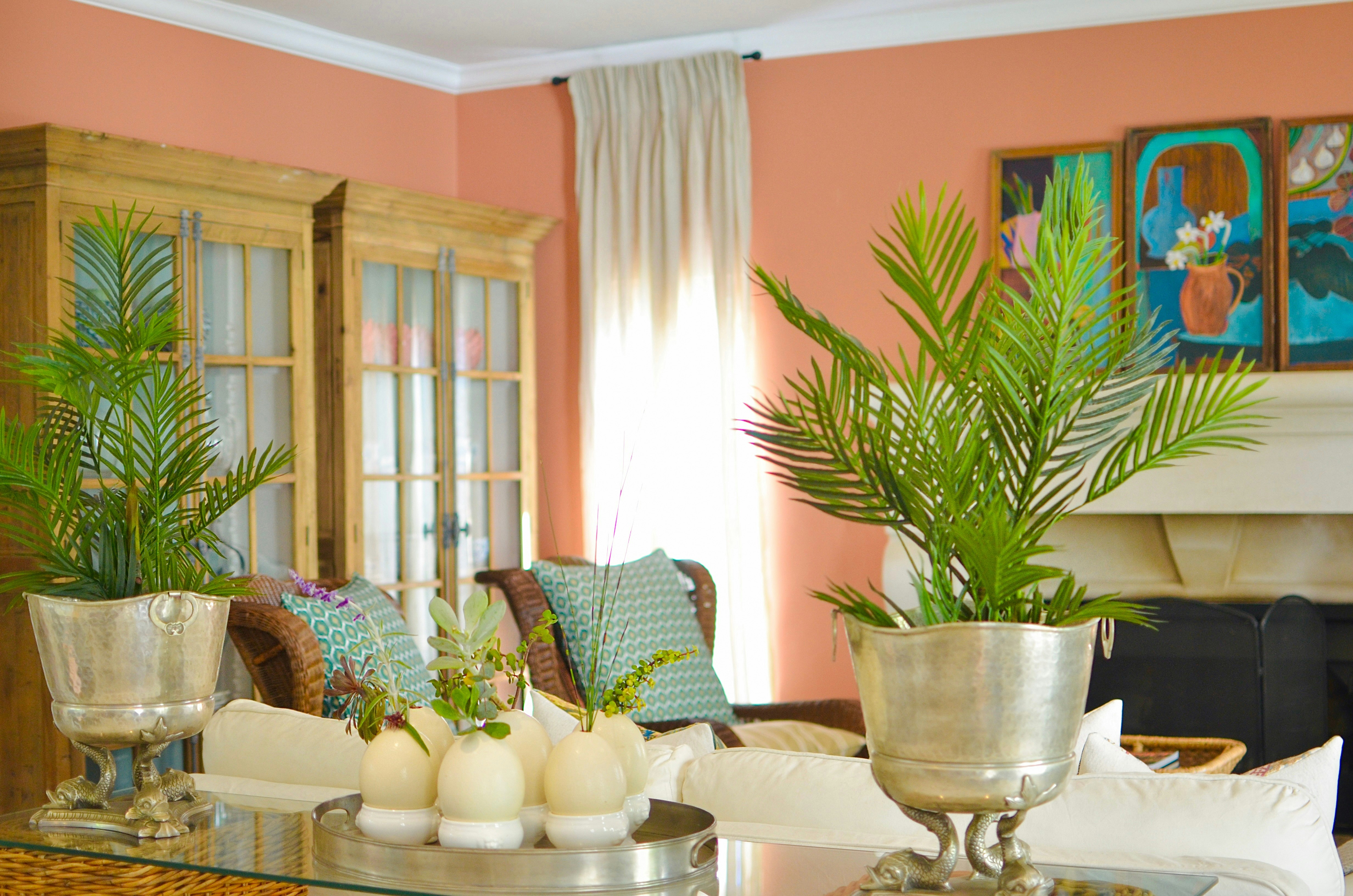 Maison d'Ail image no 17 of 30