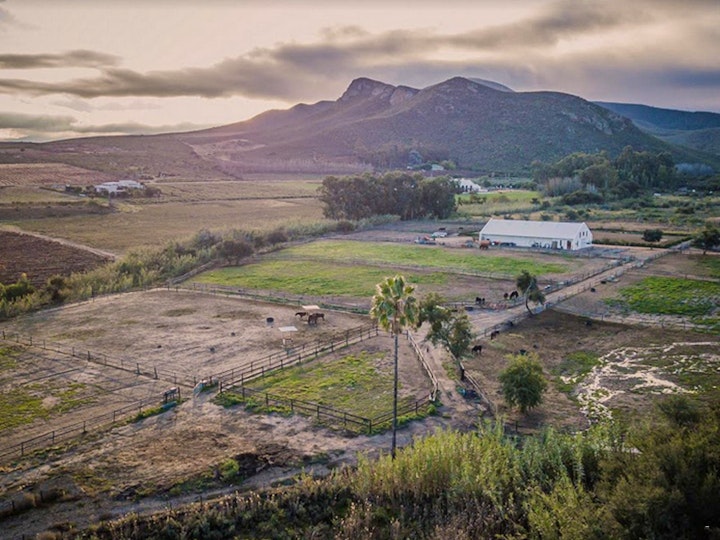 Cape Winelands Accommodation at theLAB Robertson | Viya