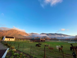 Cape Winelands Accommodation at Alpaca Inn | Viya