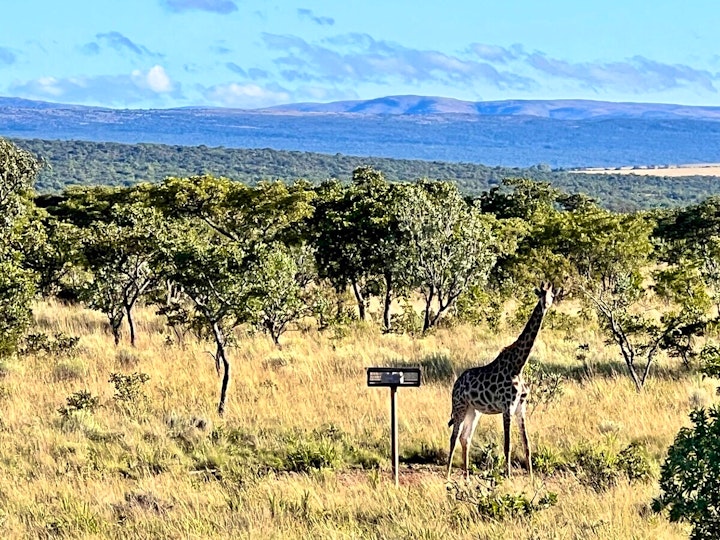 Limpopo Accommodation at Rocky Mountain Tower View | Viya