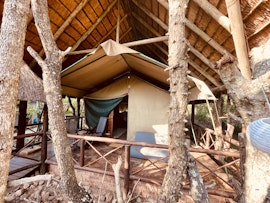 Kruger National Park South Accommodation at  | Viya