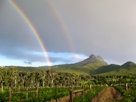 Stellenbosch Accommodation at Mitre's Edge Wine Estate | Viya