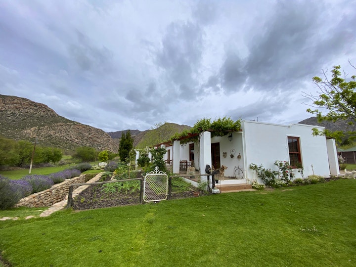 Western Cape Accommodation at Alpaca Inn | Viya