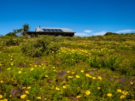 Garden Route Accommodation at Simbavati Fynbos on Sea Cottage | Viya