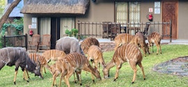 Kruger To Canyons Accommodation at  | Viya