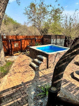 Kruger National Park South Accommodation at  | Viya